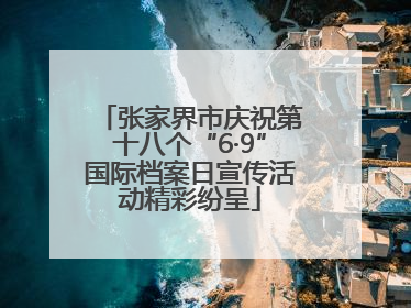 张家界市庆祝第十八个“6·9”国际档案日宣传活动精彩纷呈