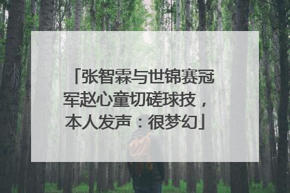 张智霖与世锦赛冠军赵心童切磋球技，本人发声：很梦幻
