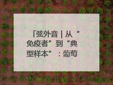 弦外音｜从“免疫者”到“典型样本”：葡萄牙极右翼崛起背后的欧洲困局