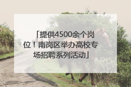 提供4500余个岗位！南岗区举办高校专场招聘系列活动