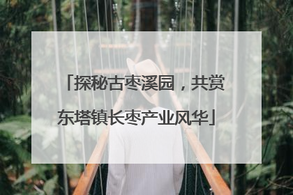 探秘古枣溪园，共赏东塔镇长枣产业风华