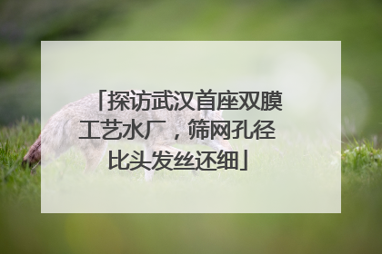 探访武汉首座双膜工艺水厂，筛网孔径比头发丝还细