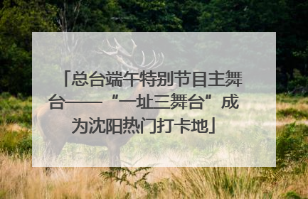 总台端午特别节目主舞台——“一址三舞台”成为沈阳热门打卡地