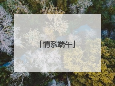 情系端午