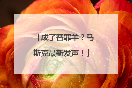 成了替罪羊？马斯克最新发声！