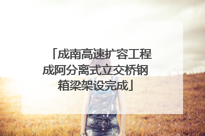 成南高速扩容工程成阿分离式立交桥钢箱梁架设完成