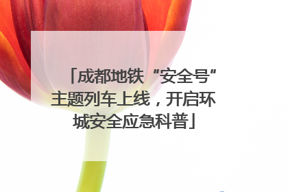 成都地铁“安全号”主题列车上线，开启环城安全应急科普