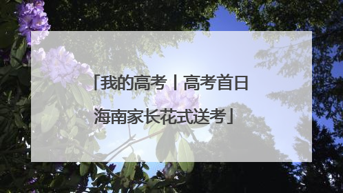 我的高考丨高考首日 海南家长花式送考