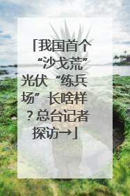 我国首个“沙戈荒”光伏“练兵场”长啥样？总台记者探访→