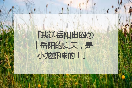 我送岳阳出圈⑦丨岳阳的夏天，是小龙虾味的！