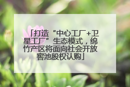 打造“中心工厂+卫星工厂”生态模式，绵竹产区将面向社会开放窖池股权认购