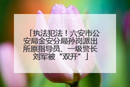 执法犯法！六安市公安局金安分局孙岗派出所原指导员、一级警长刘军被“双开”