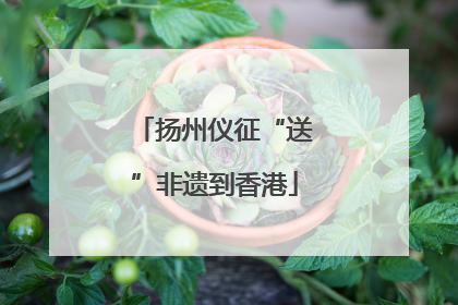 扬州仪征“送”非遗到香港