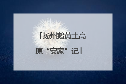 扬州鹅黄土高原“安家”记