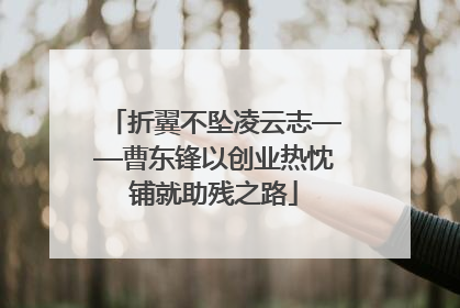 折翼不坠凌云志——曹东锋以创业热忱铺就助残之路
