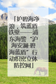 护碧海净浪，筑蓝盾铁壁——浦东海警“沪海安澜·碧海蓝盾”行动织密立体防控网
