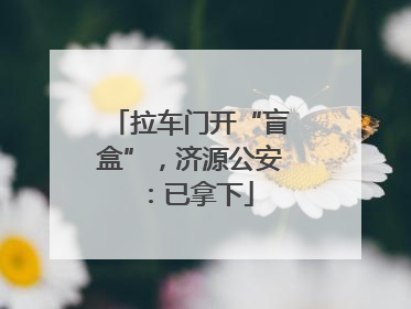 拉车门开“盲盒”，济源公安：已拿下