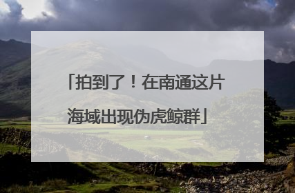 拍到了！在南通这片海域出现伪虎鲸群