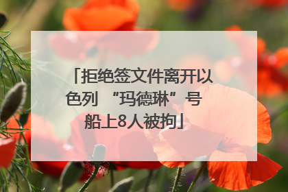 拒绝签文件离开以色列 “玛德琳”号船上8人被拘