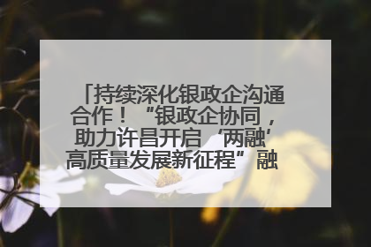 持续深化银政企沟通合作！“银政企协同，助力许昌开启‘两融’高质量发展新征程”融资对接会举行