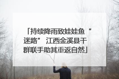 持续降雨致娃娃鱼“迷路” 江西金溪县干群联手助其重返自然