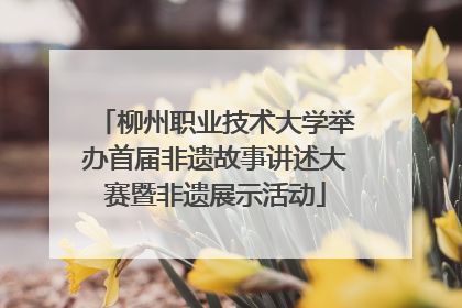 柳州职业技术大学举办首届非遗故事讲述大赛暨非遗展示活动