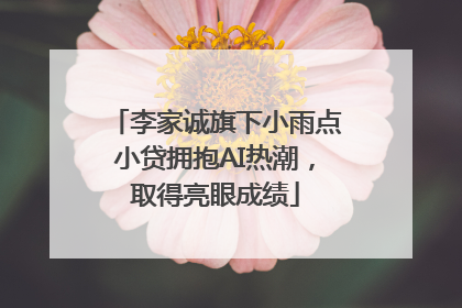 李家诚旗下小雨点小贷拥抱AI热潮，取得亮眼成绩