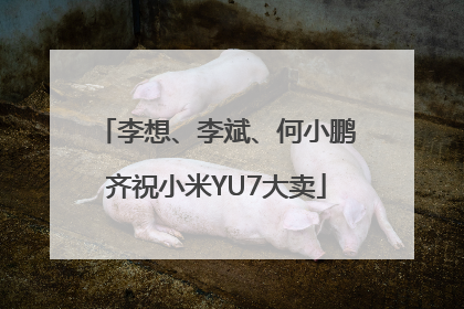 李想、李斌、何小鹏齐祝小米YU7大卖