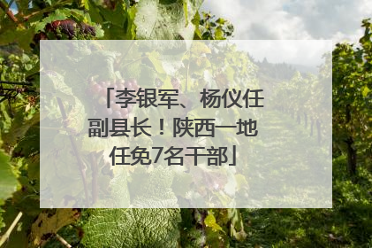 李银军、杨仪任副县长！陕西一地任免7名干部