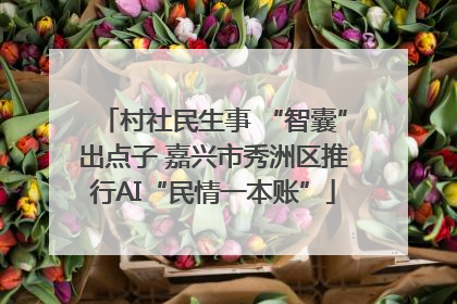 村社民生事 “智囊”出点子 嘉兴市秀洲区推行AI“民情一本账”