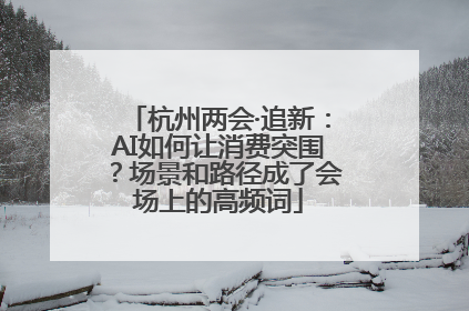 杭州两会·追新：AI如何让消费突围？场景和路径成了会场上的高频词