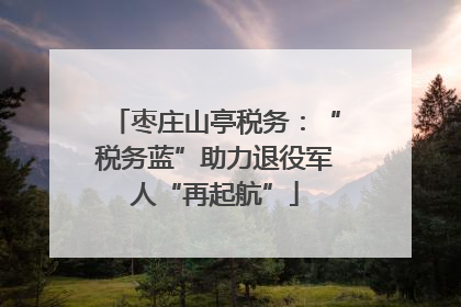 枣庄山亭税务：“税务蓝”助力退役军人“再起航”