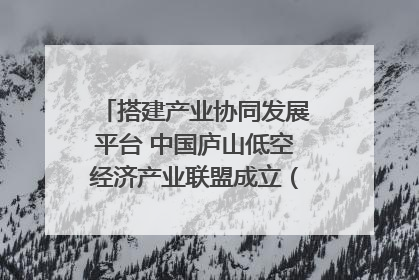 搭建产业协同发展平台 中国庐山低空经济产业联盟成立（组图｜视频）