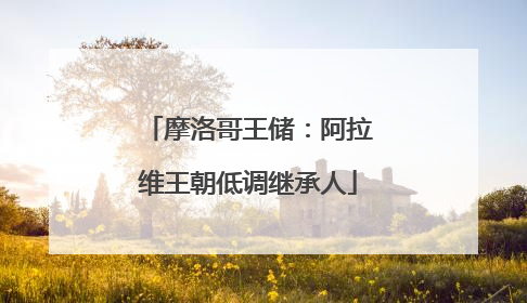 摩洛哥王储：阿拉维王朝低调继承人