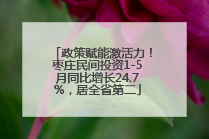 政策赋能激活力！枣庄民间投资1-5月同比增长24.7%，居全省第二