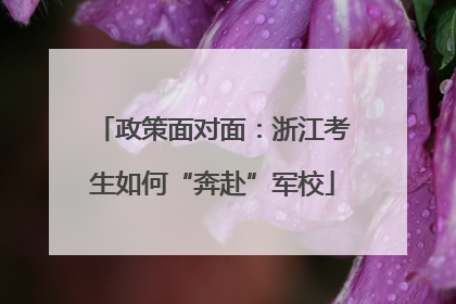 政策面对面：浙江考生如何“奔赴”军校