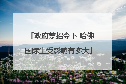 政府禁招令下 哈佛国际生受影响有多大