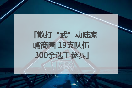散打“武”动陆家嘴商圈 19支队伍300余选手参赛