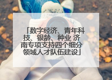 数字经济、青年科技、银龄、种业 济南专项支持四个细分领域人才队伍建设