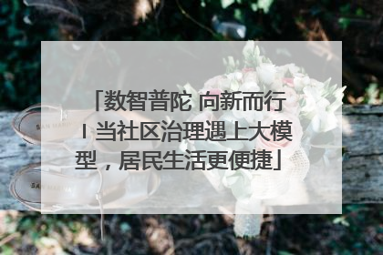 数智普陀 向新而行〡当社区治理遇上大模型，居民生活更便捷