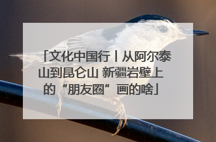 文化中国行丨从阿尔泰山到昆仑山 新疆岩壁上的“朋友圈”画的啥