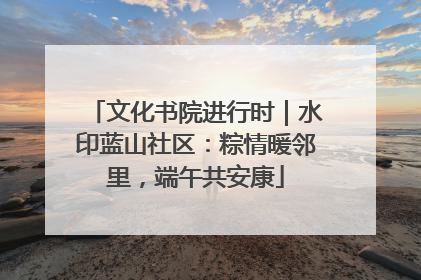 文化书院进行时｜水印蓝山社区：粽情暖邻里，端午共安康