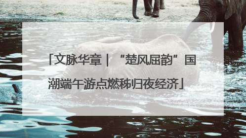 文脉华章｜“楚风屈韵”国潮端午游点燃秭归夜经济