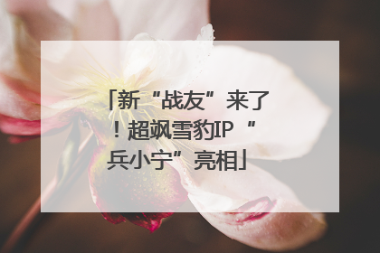 新“战友”来了！超飒雪豹IP“兵小宁”亮相