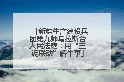 新疆生产建设兵团第九师乌拉斯台人民法庭：用“三调联动”解牛事