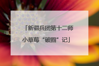新疆兵团第十二师小草莓“破圈”记
