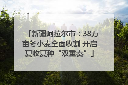 新疆阿拉尔市：38万亩冬小麦全面收割 开启夏收夏种“双重奏”