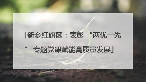 新乡红旗区：表彰 “两优一先” 专题党课赋能高质量发展