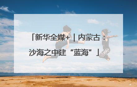 新华全媒+｜内蒙古：沙海之中建“蓝海”