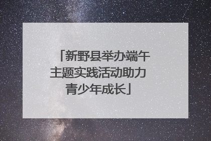新野县举办端午主题实践活动助力青少年成长
